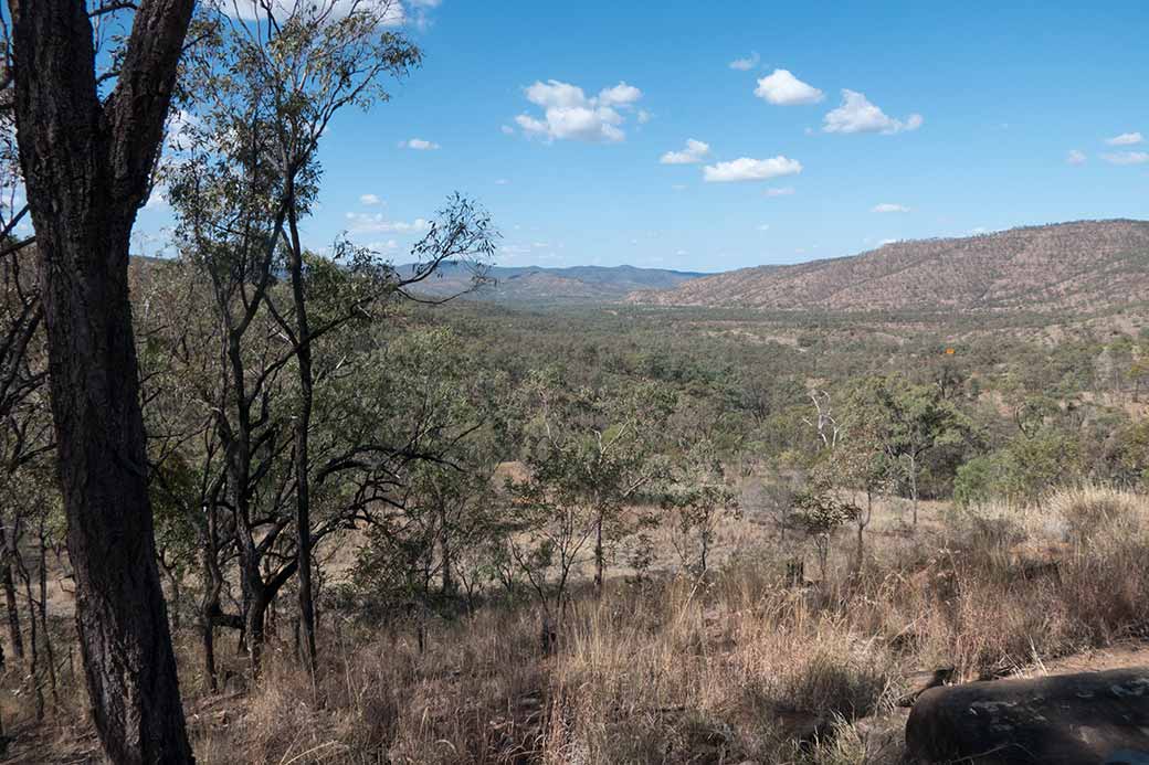 View, Drummond Range Lookout