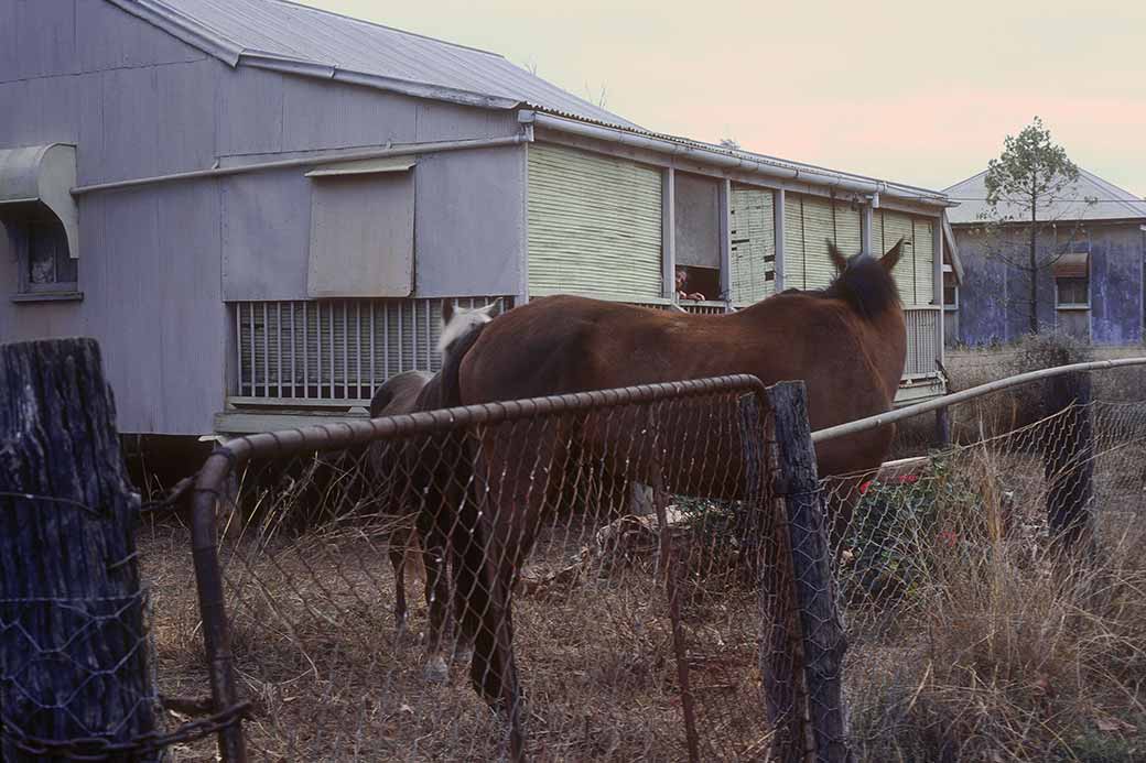 Homestead, Jericho