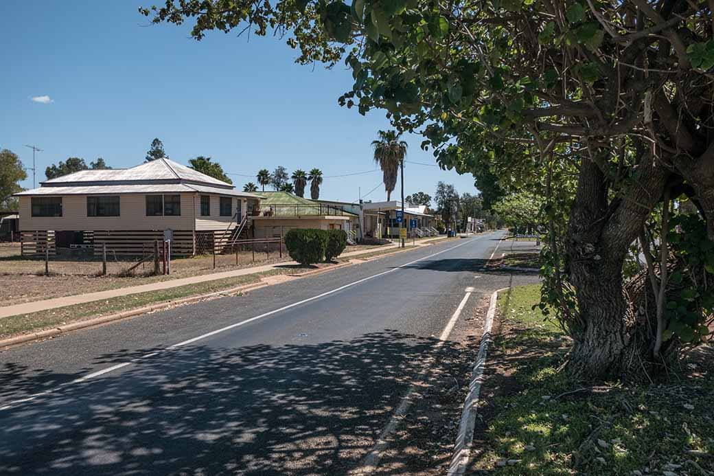 Darwin Street, Jericho