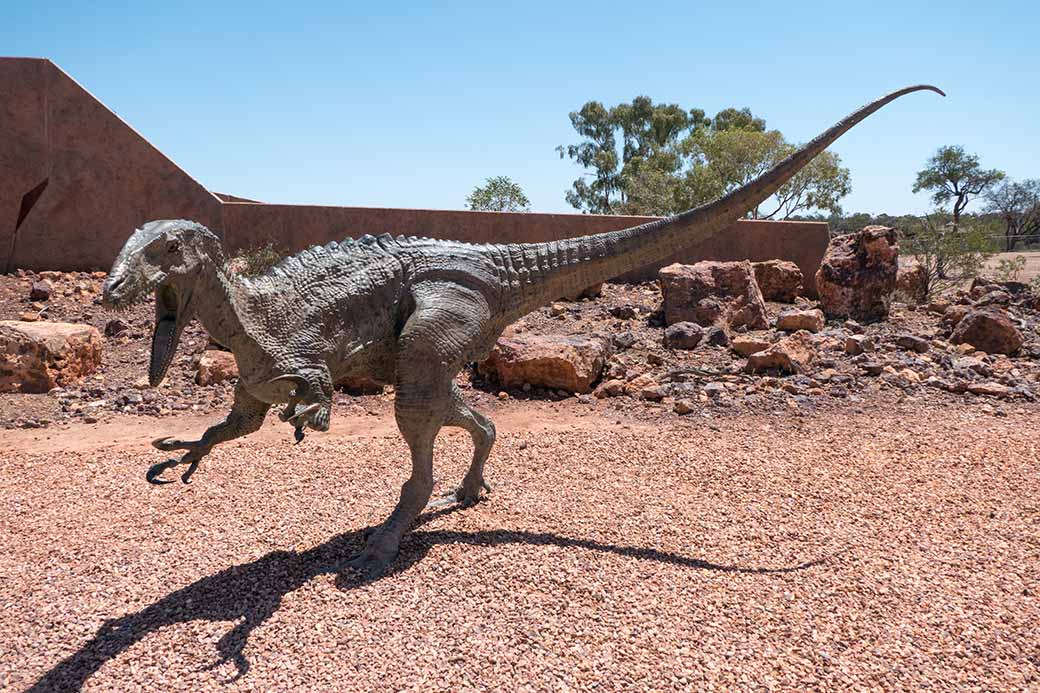 Model of Australovenator dinosaur