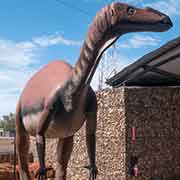 Muttaburrasaurus display