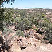 View, Australian Age of Dinosaurs