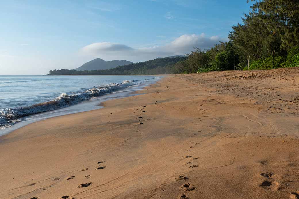 The beach at Bramston Beach