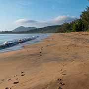 The beach at Bramston Beach