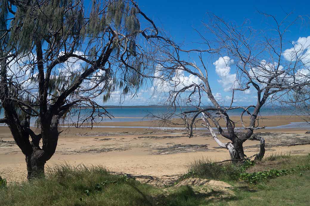 Fraser Island from Dayman Point