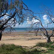 Fraser Island from Dayman Point