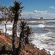 Coast at Maroochydore