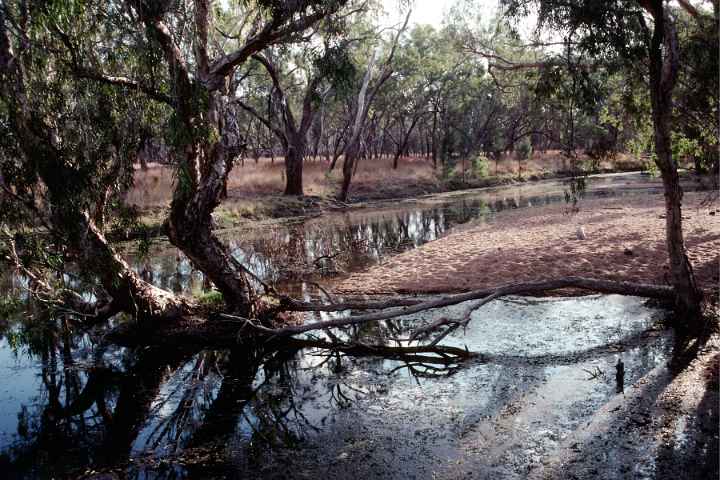 Near Charters Towers