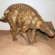 Ankylosaur model