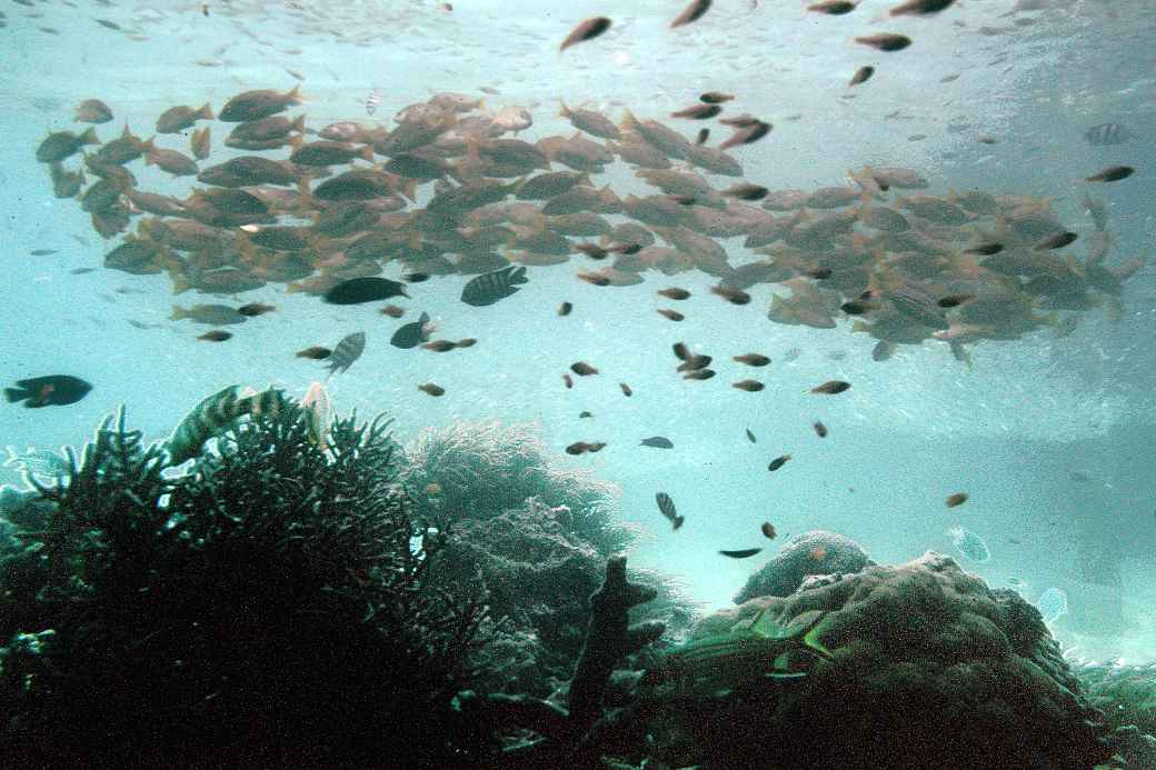 Underwater Observatory