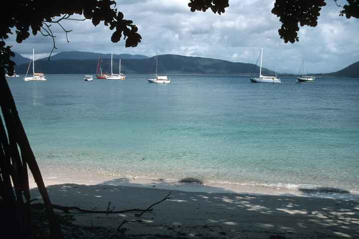 Fitzroy Island