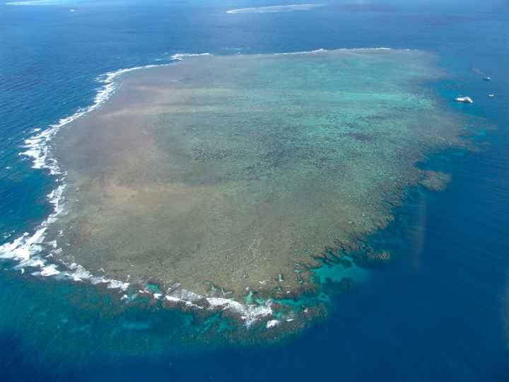 Hamilton Reef