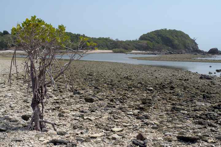 View to Normanby Island