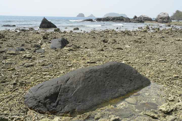 Normanby Island shore