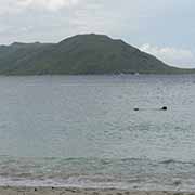 Fitzroy Island view