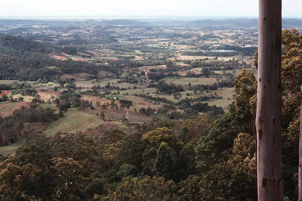 Crawford and Foster Scenic Lookout