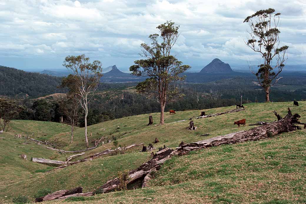 View to Glasshouse Mountains