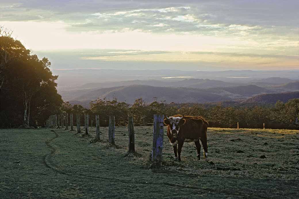 Dawn near Toowoomba