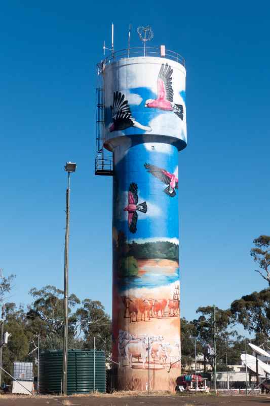 Augathella water tower