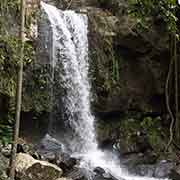 Curtis Falls, Tamborine NP