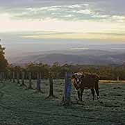 Dawn near Toowoomba