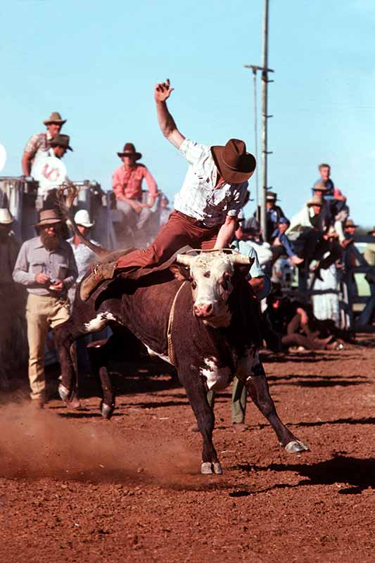 Riding a bucking bull