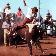 Riding a bucking bull