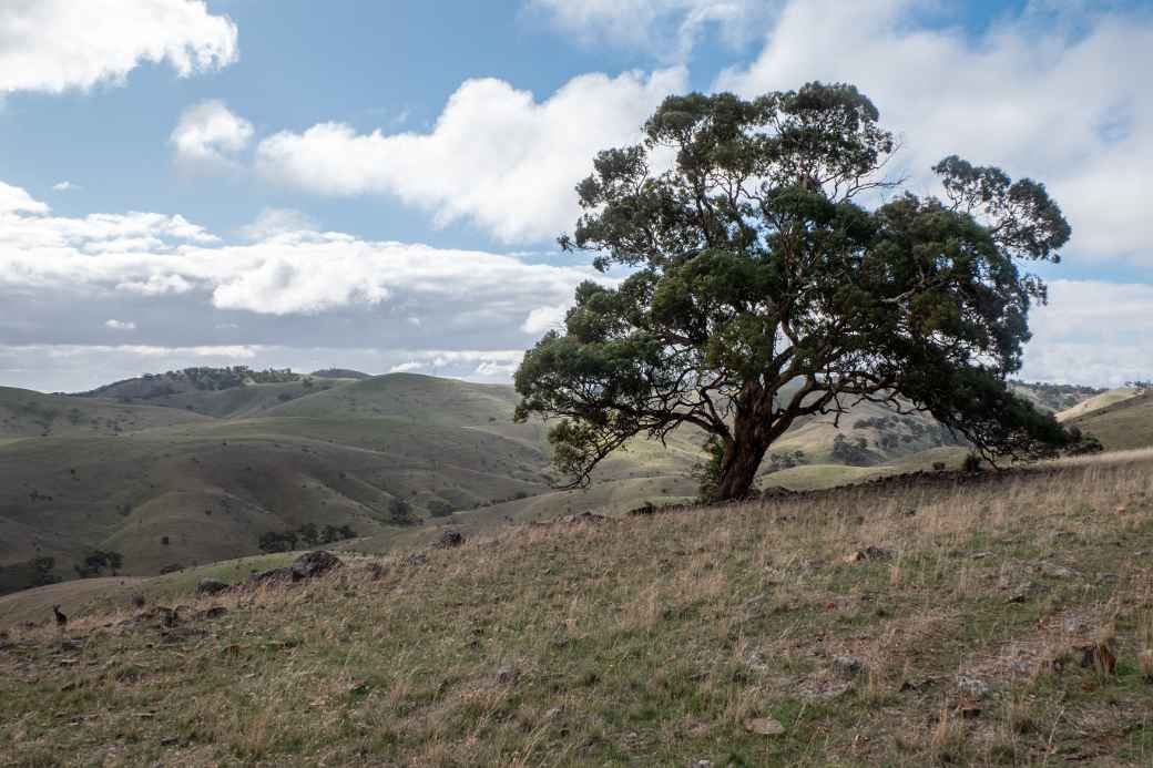 View from Hancocks Lookout