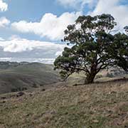 View from Hancocks Lookout