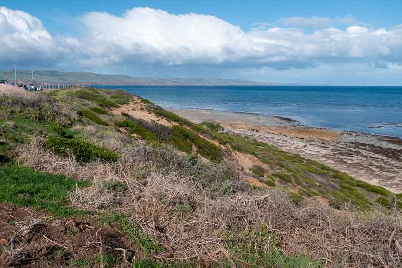 Beach, Aldinga Beach