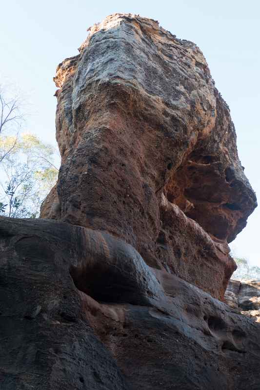 Cruise in Cobbold Gorge