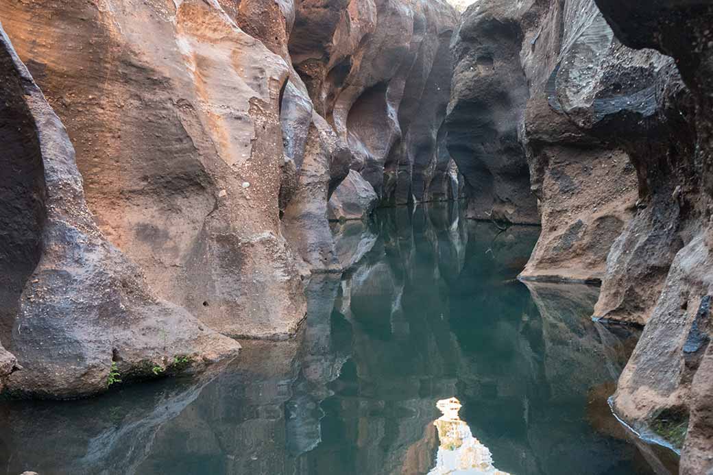 Cruise in Cobbold Gorge