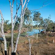 Creek, Lynd River