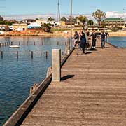 Streaky Bay Jetty