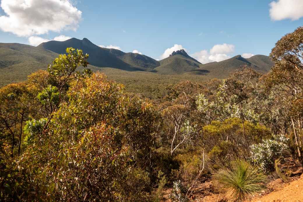 View, Stirling Range National Park