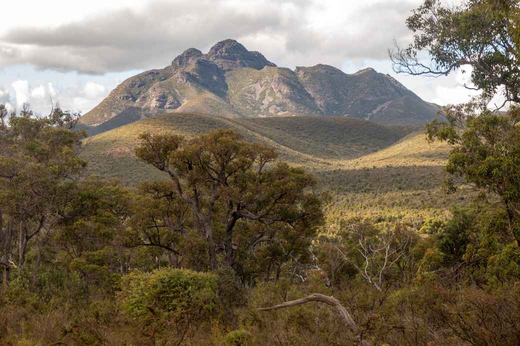 View to Mount Toolbrunup