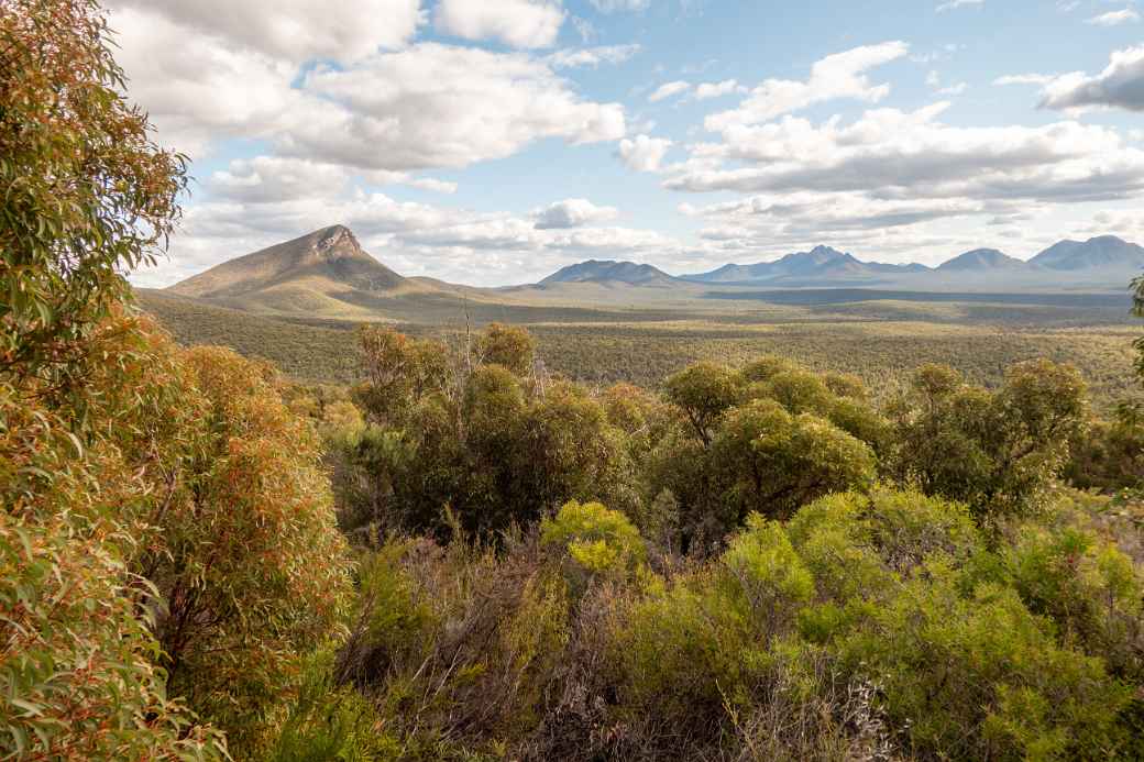 View from Chester Pass Road