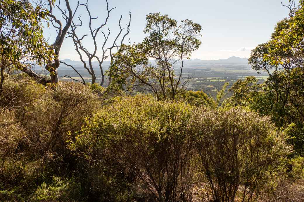 View to the Stirling Range