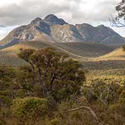 View to Mount Toolbrunup