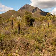 View to Mount Toolbrunup