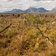 View towards Bluff Knoll