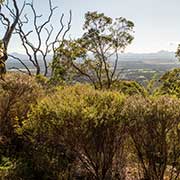 View to the Stirling Range