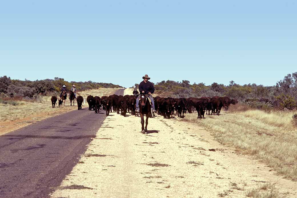 Along Tablelands Highway