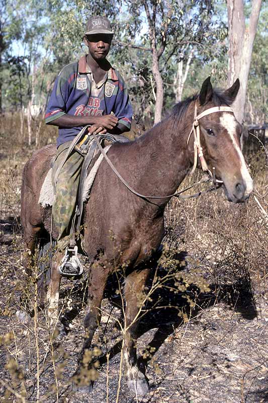 Young Stockman