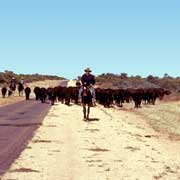 Along Tablelands Highway