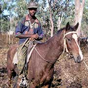 Young Stockman