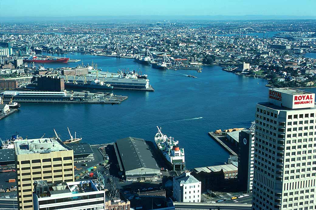 Port Jackson from Australia Square