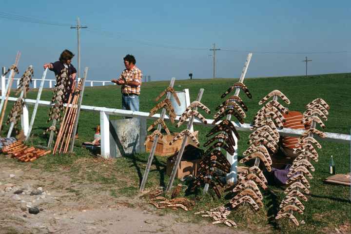 Boomerangs for sale