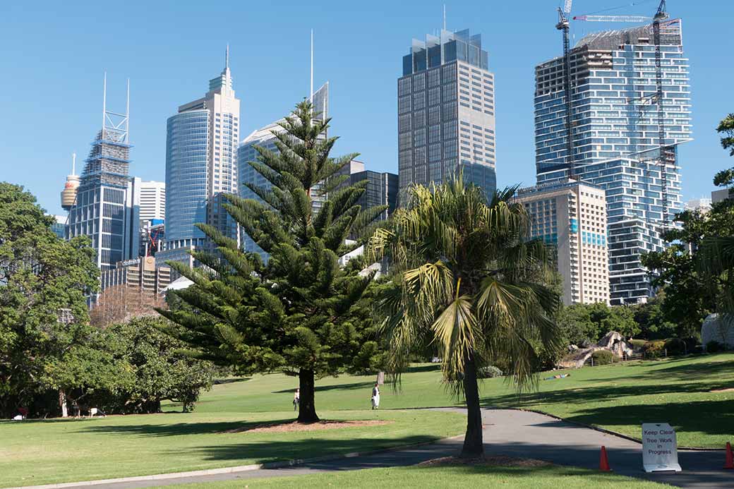 Sydney from the Royal Botanic Garden