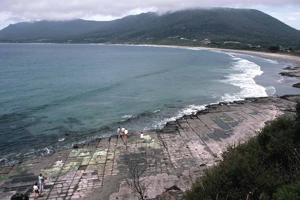 Forestier Peninsula